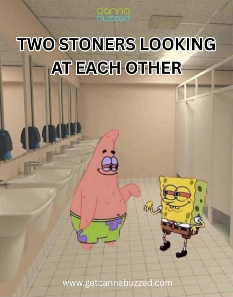 TWO STONERS LOOKING AT EACH OTHER