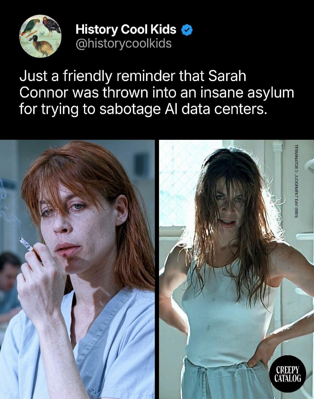 History Cool Kids @historycoolkids. Just a friendly reminder that Sarah Connor was thrown into an insane asylum for trying to sabotage AI data centers. TERMINATOR 2: JUDGEMENT DAY (1991). CREEPY CATALOG.