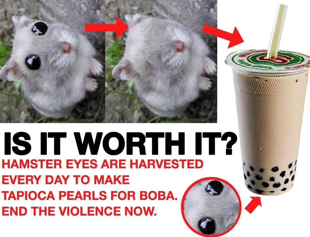 IS IT WORTH IT HAMSTER EYES ARE HARVESTED EVERY DAY TO MAKE TAPIOCA PEARLS FOR BOBA END THE VIOLENCE NOW