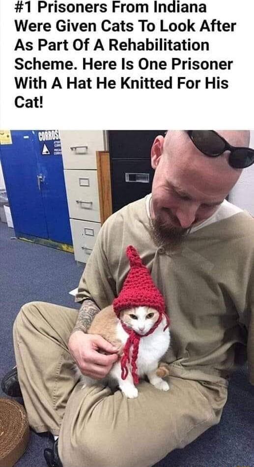 1 Prisoners From Indiana Were Given Cats To Look After As Part Of A Rehabilitation Scheme Here Is One Prisoner With A Hat He Knitted For His Cat