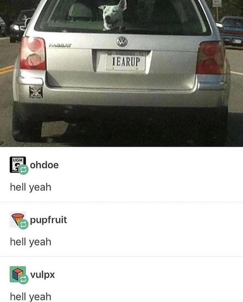 ohdoe hell yeah B pupfruit hell yeah vulpx hell yeah