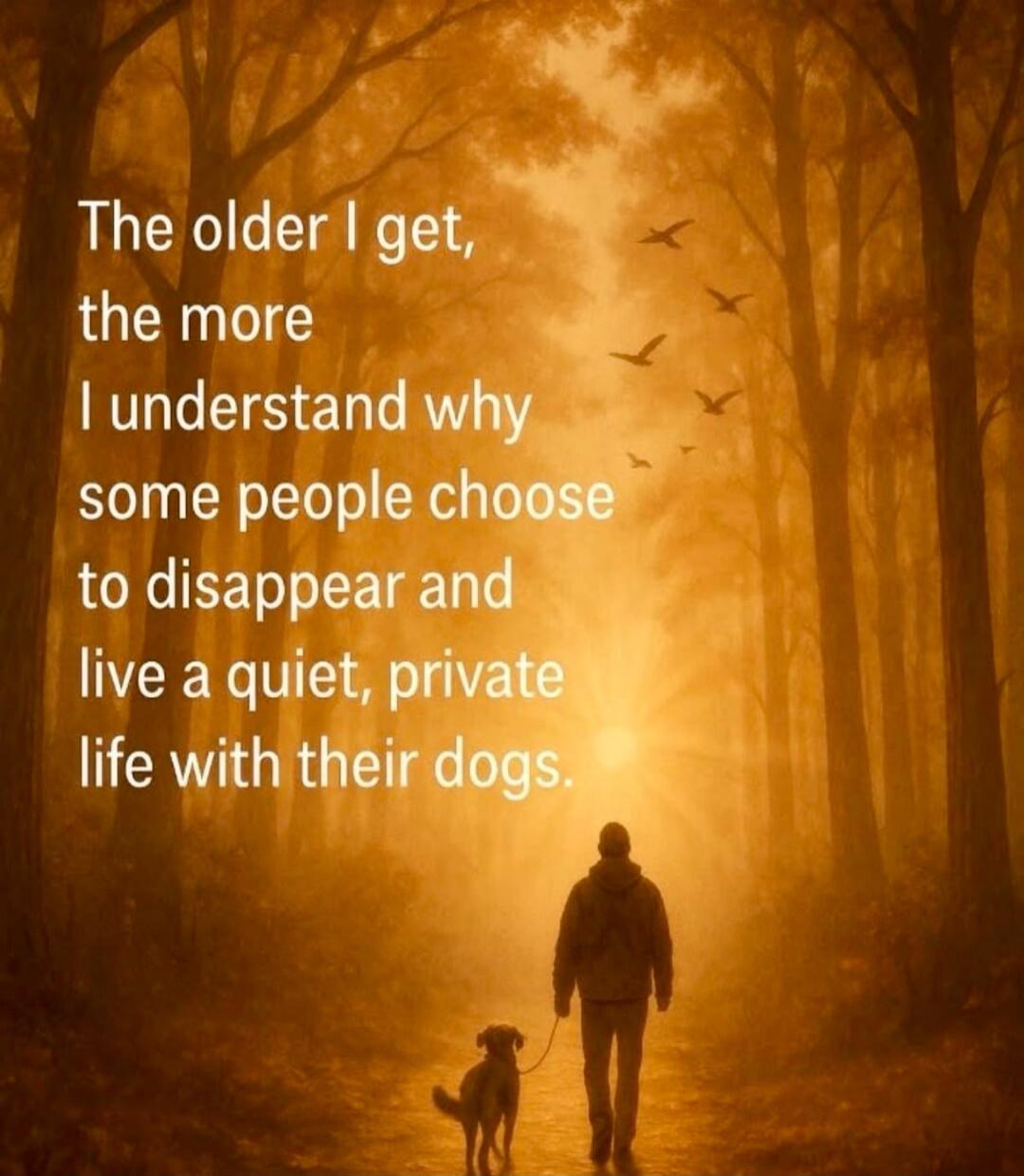 The older I get, the more I understand why some people choose to disappear and live a quiet, private life with their dogs.
