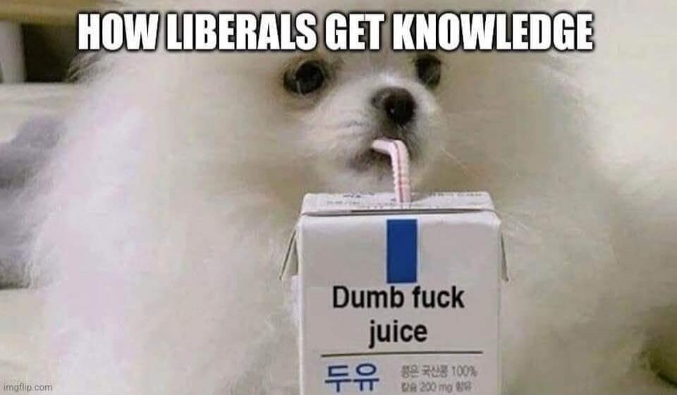 HOW LIBERALS GET KNOWLEDGE
Dumb fuck juice