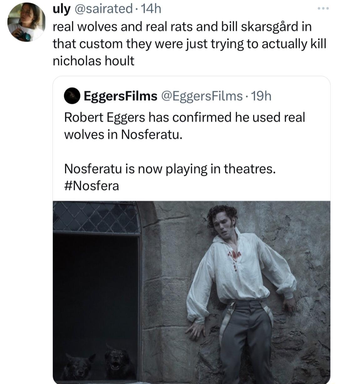 uly sairated 14h real wolves and real rats and bill skarsgard in that custom they were just trying to actually kill nicholas hoult EggersFilms EggersFilms 19h Robert Eggers has confirmed he used real wolves in Nosferatu Nosferatu is now playing in theatres Nosfera