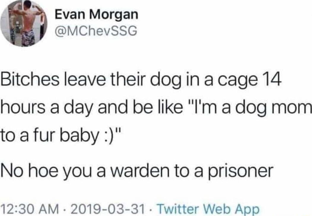 Evan Morgan MChevSSG Bitches leave their dog in a cage 14 hours a day and be like Im a dog mom to a fur baby No hoe you a warden to a prisoner 1230 AM 2019 03 31 Twitter Web App