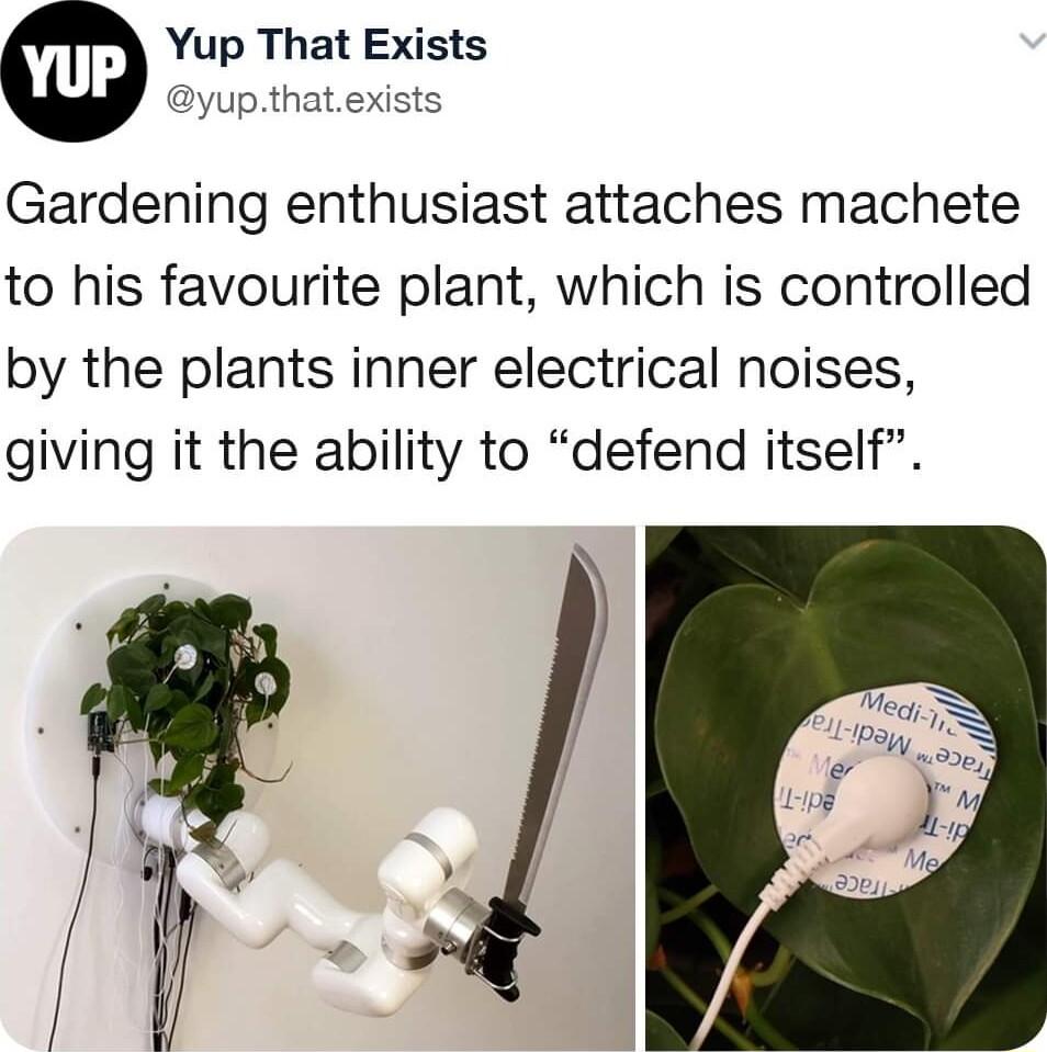 Yup That E yupth Gardening enthusiast attaches machete to his favourite plant which is controlled by the plants inner electrical noises giving it the ability to defend itself