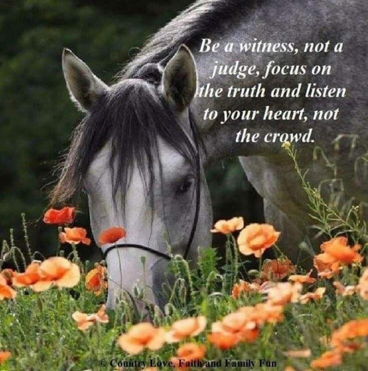 Be a witness, not a judge, focus on the truth and listen to your heart, not the crowd. © Country Love, Faith and Family Fun