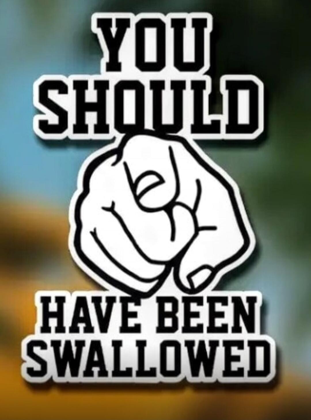 YOU SHOULD HAVE BEEN SWALLOWED