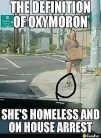 THE DEFINITION OF OXYMORON SHE'S HOMELESS AND ON HOUSE ARREST