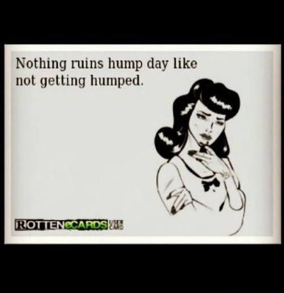 Nothing ruins hump day like not getting humped.