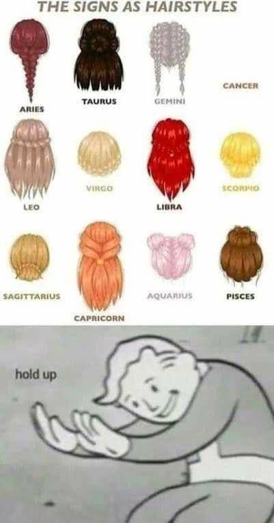 THE SIGNS AS HAIRSTYLES vingo sconmo Leo SAGITTARIUS i o cariconn