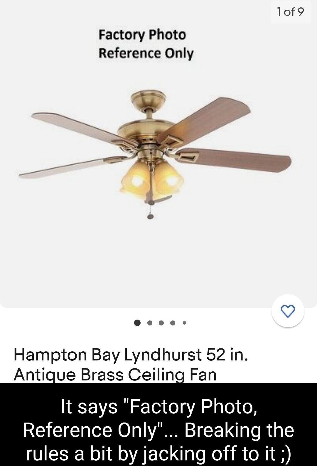 1of9 Factory Photo Reference Only ccs Hampton Bay Lyndhurst 52 in Antique Brass Ceiling Fan It says Factory Photo Reference Only Breaking the rules a bit by jacking off to it