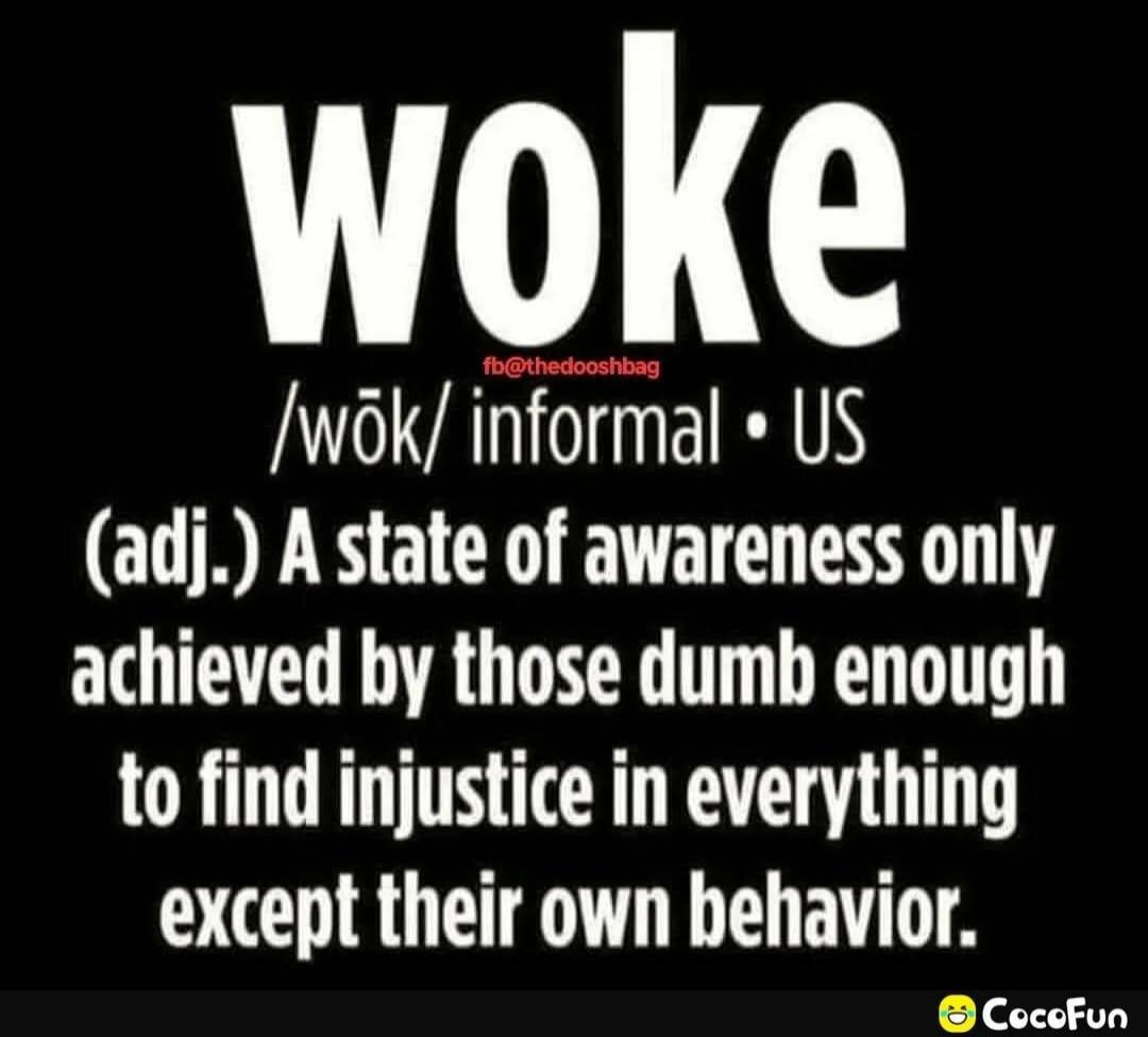 WOKE fb@thedooshbag /wōk/ informal • US (adj.) A state of awareness only achieved by those dumb enough to find injustice in everything except their own behavior.