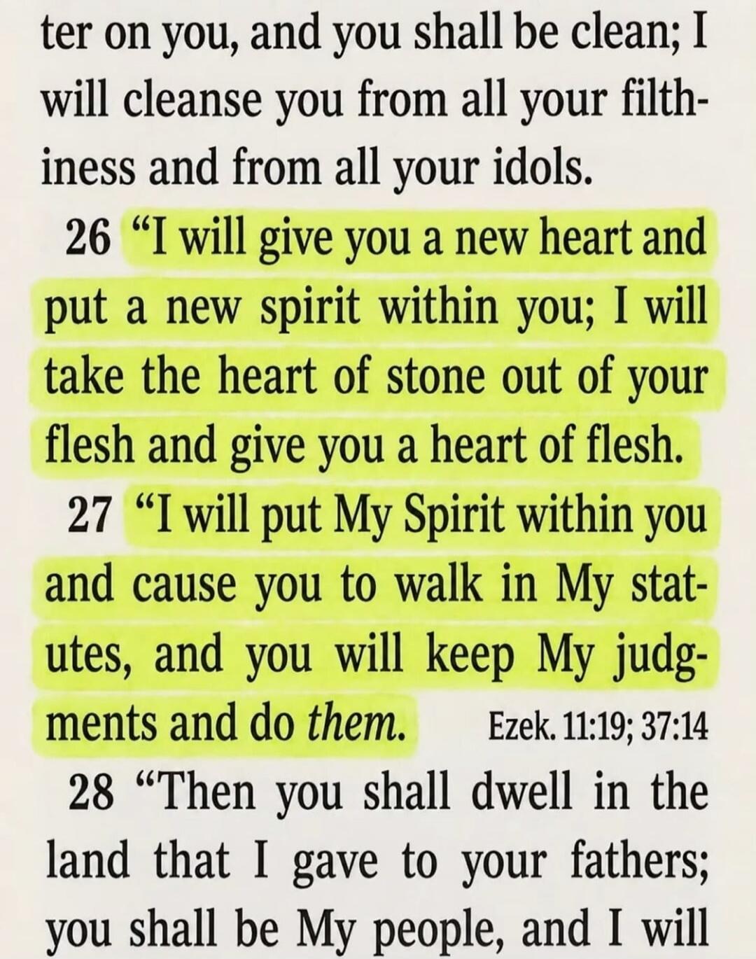 ter on you, and you shall be clean; I will cleanse you from all your filthiness and from all your idols. 26 
