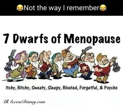 Not the way remember 7 Dwarfs of Menopause T 1 D 6 g Itchy Bitchy Sweaty Sleepy Bloated Forgetful Psycho U Aec