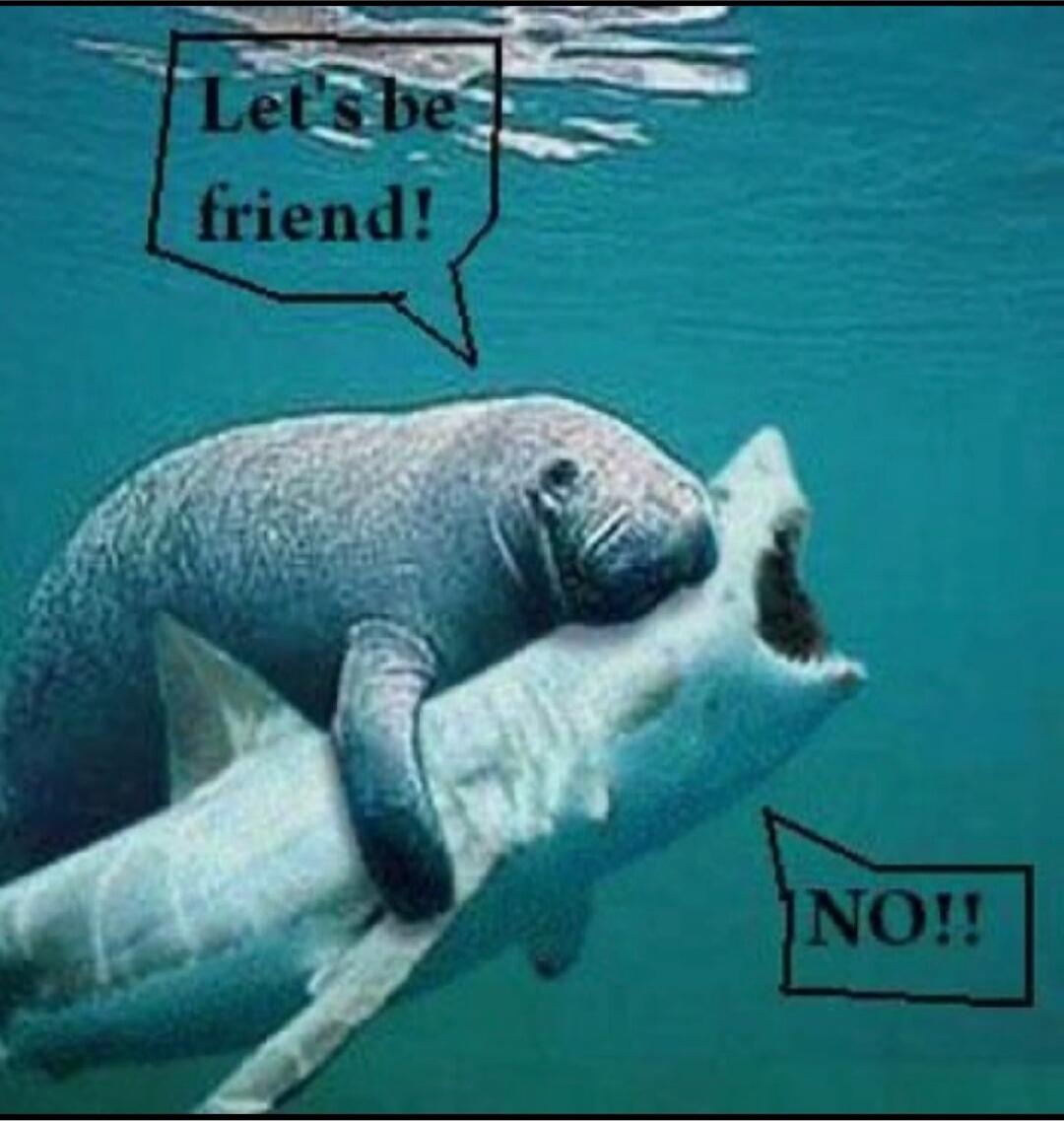 Let's be friend! NO!!