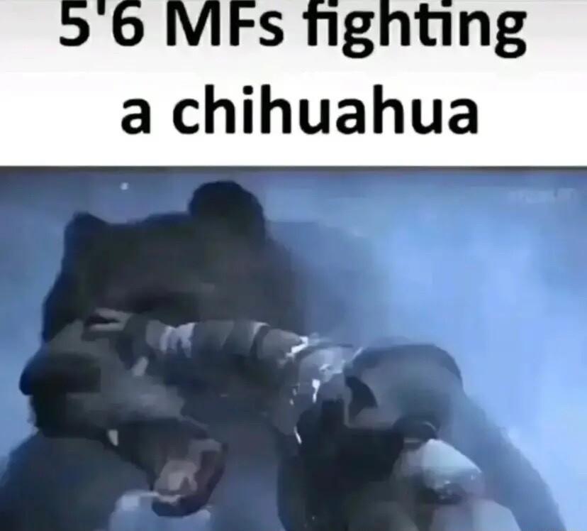 b IVIFs nighting