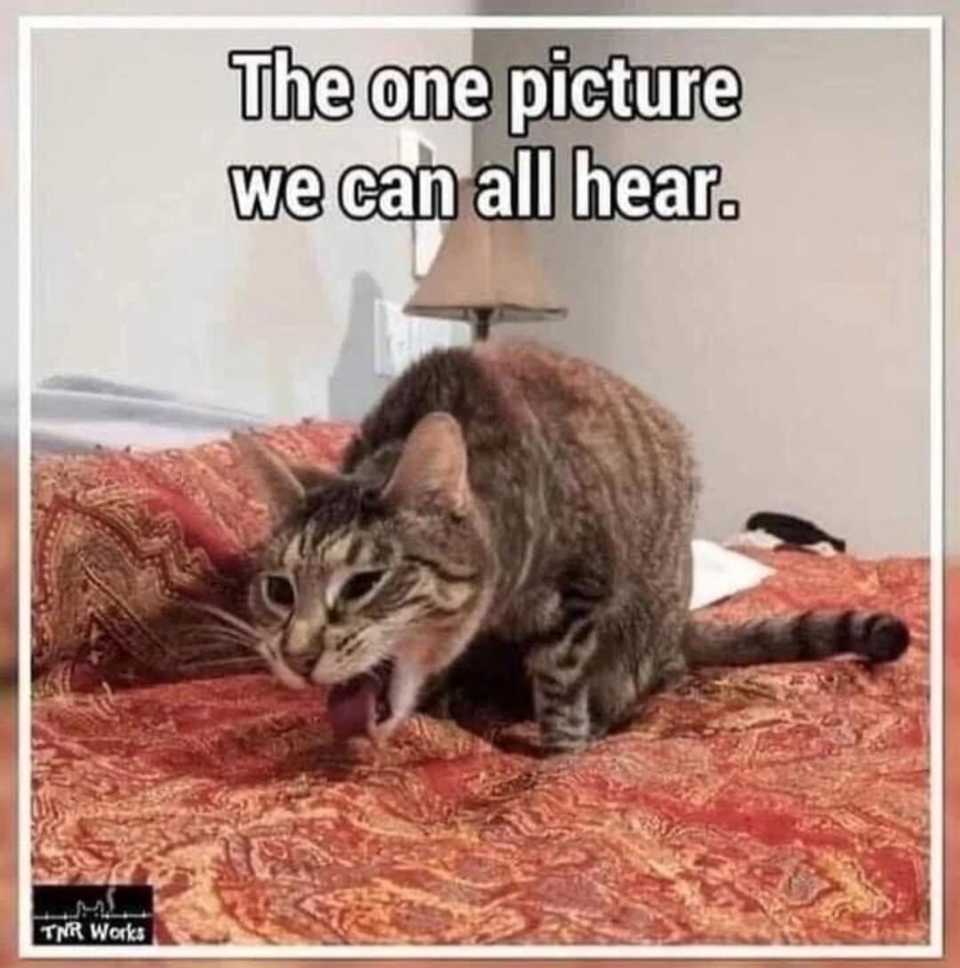 The one picture we can all hear. TNR Works