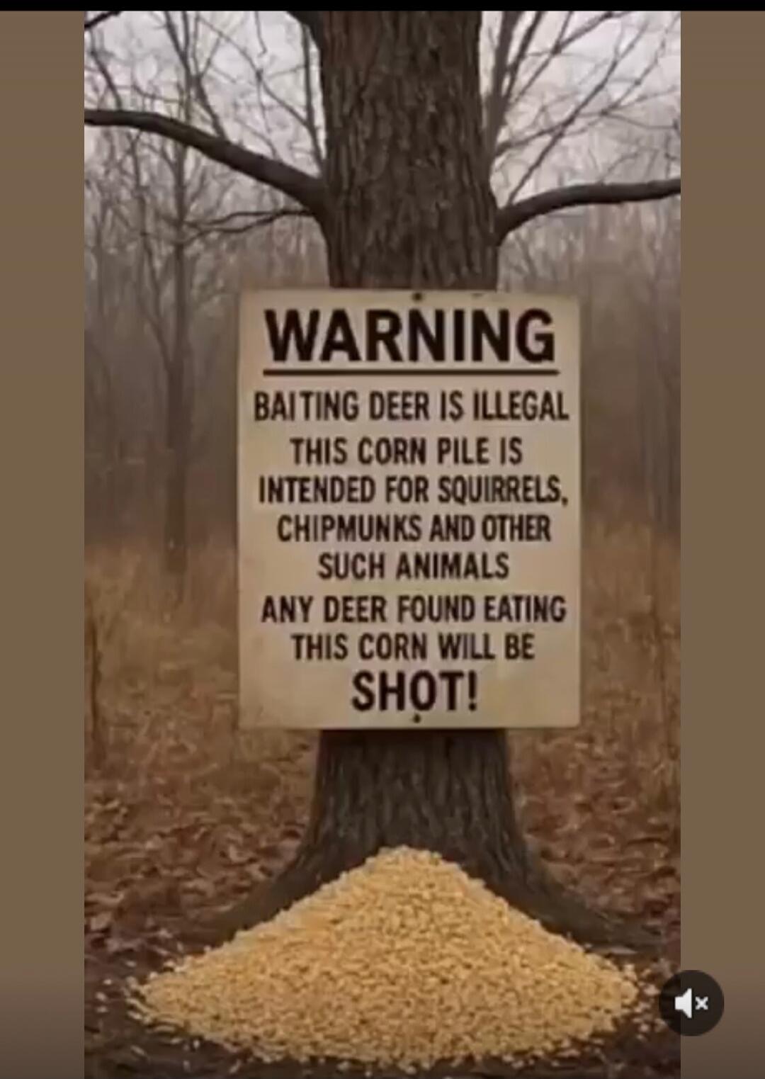 WARNING BAITING DEER IS ILLEGAL THIS CORN PILE IS INTENDED FOR SQUIRRELS, CHIPMUNKS AND OTHER SUCH ANIMALS ANY DEER FOUND EATING THIS CORN WILL BE SHOT!