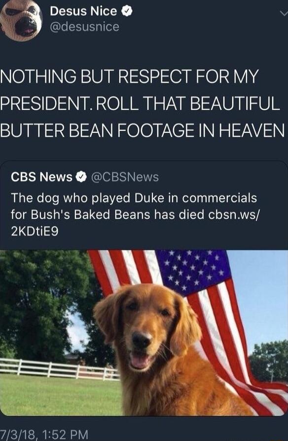 EETEINEY l LRV Tol NOTHING BUT RESPECT FOR MY PRESIDENT ROLL THAT BEAUTIFUL BUTTER BEAN FOOTAGE IN HEAVEN oYY RGISEINENE The dog who played Duke in commercials for Bushs Baked Beans has died cbsnws 2KDtiE9 7318 152 PM