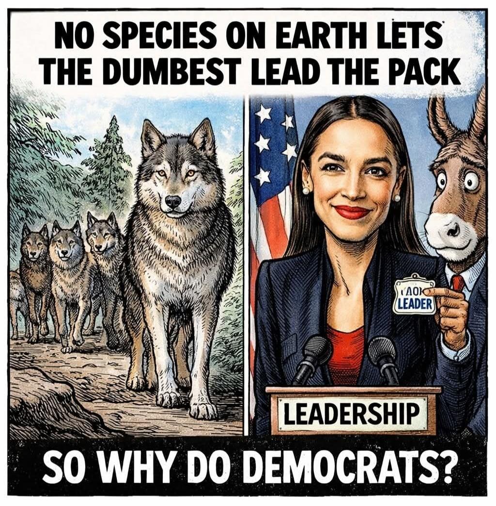 NO SPECIES ON EARTH LETS THE DUMBEST LEAD THE PACK LEADERSHIP AOC LEADER SO WHY DO DEMOCRATS?