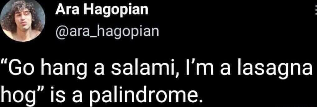 Ara Hagopian QEIEMELIED L ENEREIE NN ENEEEIE hog is a palindrome