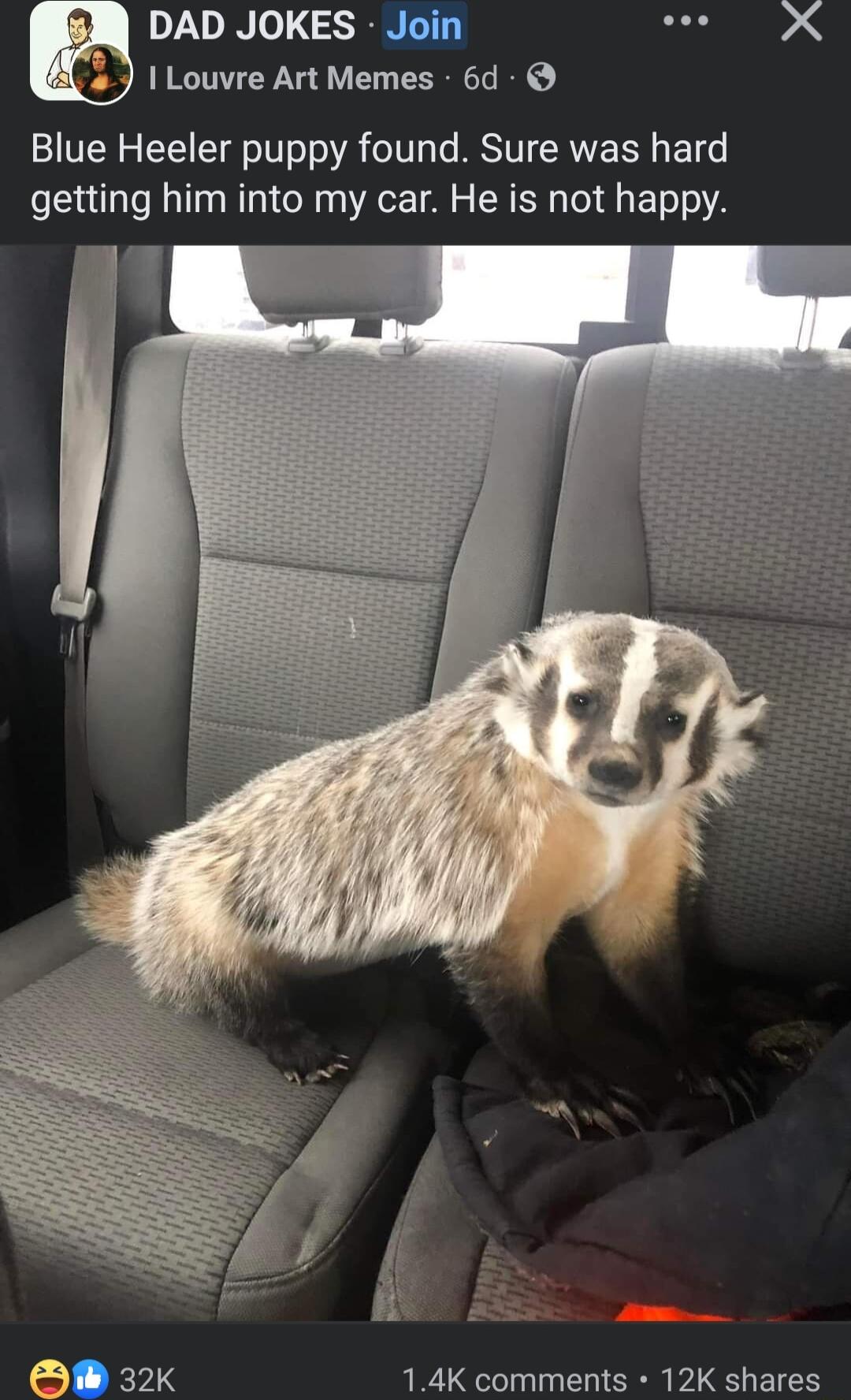 DAD JOKES Join see X 1 Louvre Art Memes 6d Blue Heeler puppy found Sure was hard getting him into my car He is not happy O 32 14K comments 12K shares