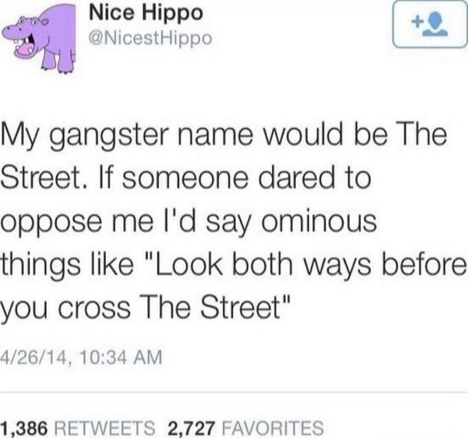 Nice Hippo @NicestHippo My gangster name would be The Street. If someone dared to oppose me I'd say ominous things like 