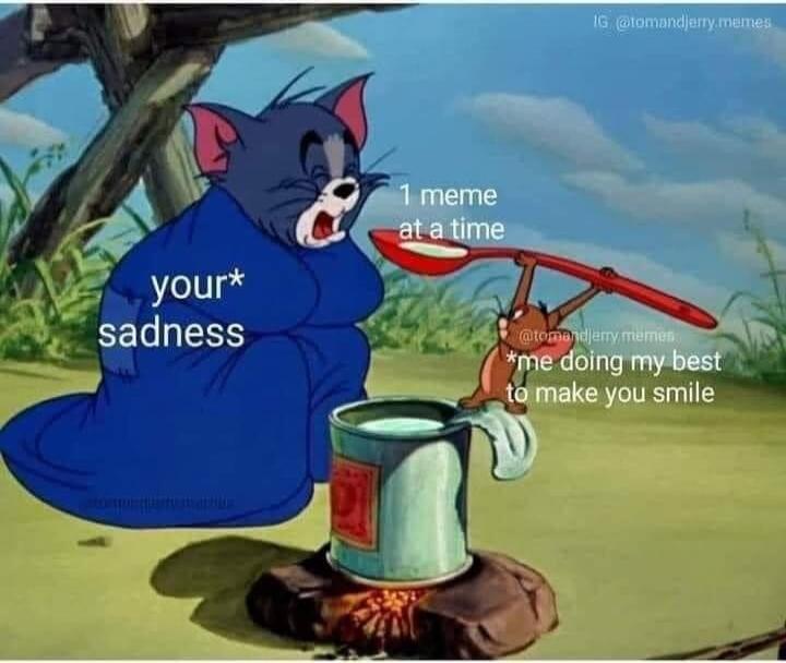 your* sadness 1 meme at a time *me doing my best to make you smile IG @tomandjerry.memes