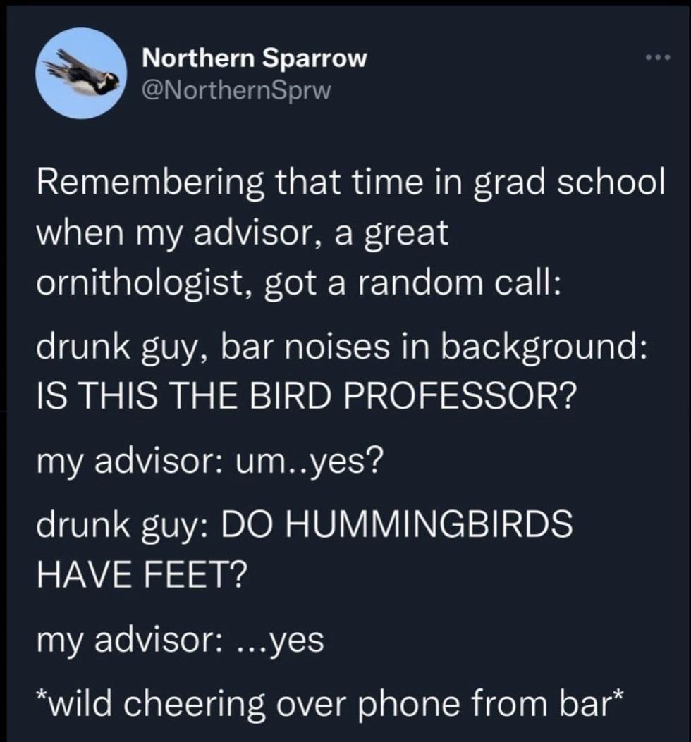 Northern Sparrow NorthernSprw Remembering that time in grad school when my advisor a great elgaliaTe oFiy MTel W Tale oIy o1 H drunk guy bar noises in background IS THIS THE BIRD PROFESSOR my advisor umyes drunk guy DO HUMMINGBIRDS HAVE FEET my advisor yes wild cheering over phone from bar