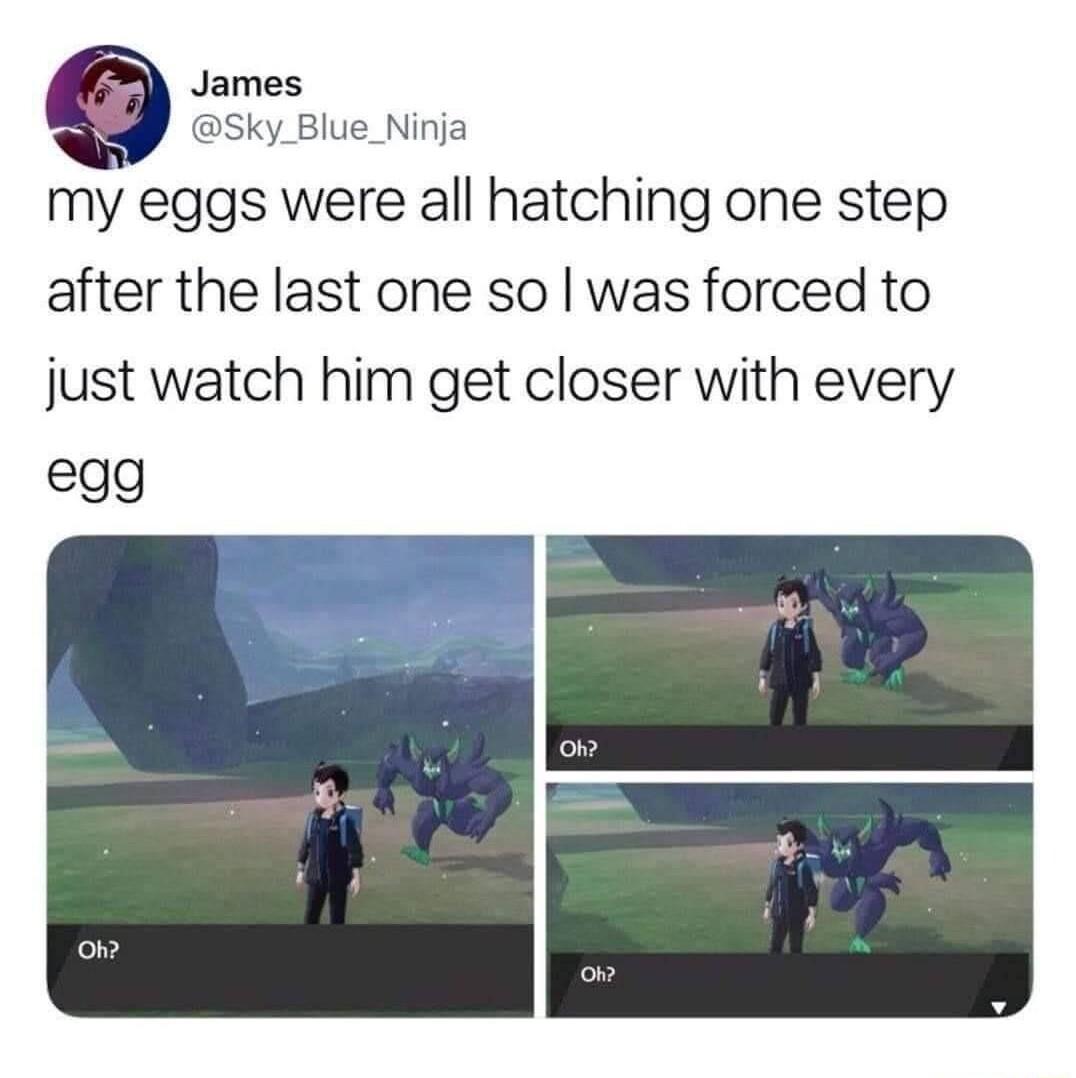 James Sky_Blue_Ninja my eggs were all hatching one step after the last one so was forced to just watch him get closer with every gg