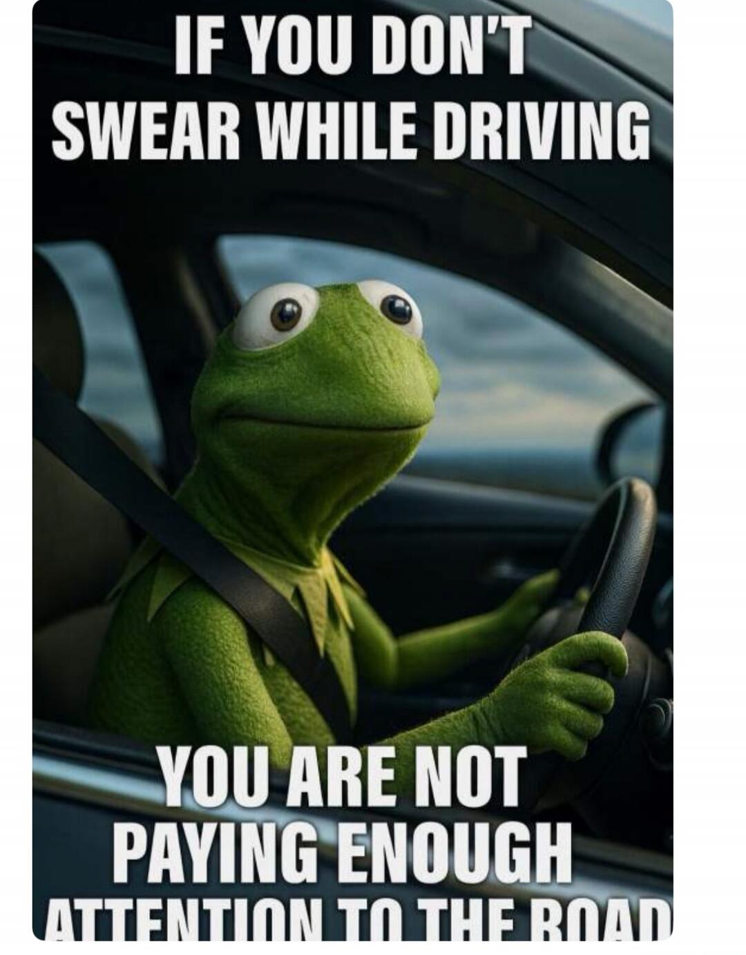 IF YOU DON'T SWEAR WHILE DRIVING YOU ARE NOT PAYING ENOUGH ATTENTION TO THE ROAD