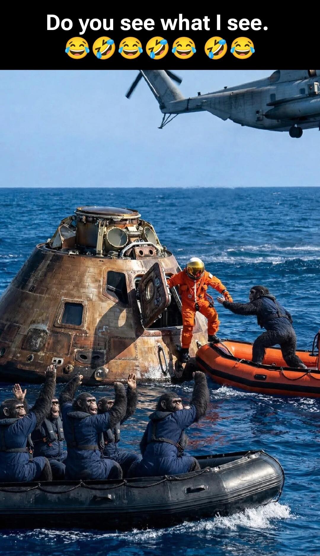 Do you see what I see.