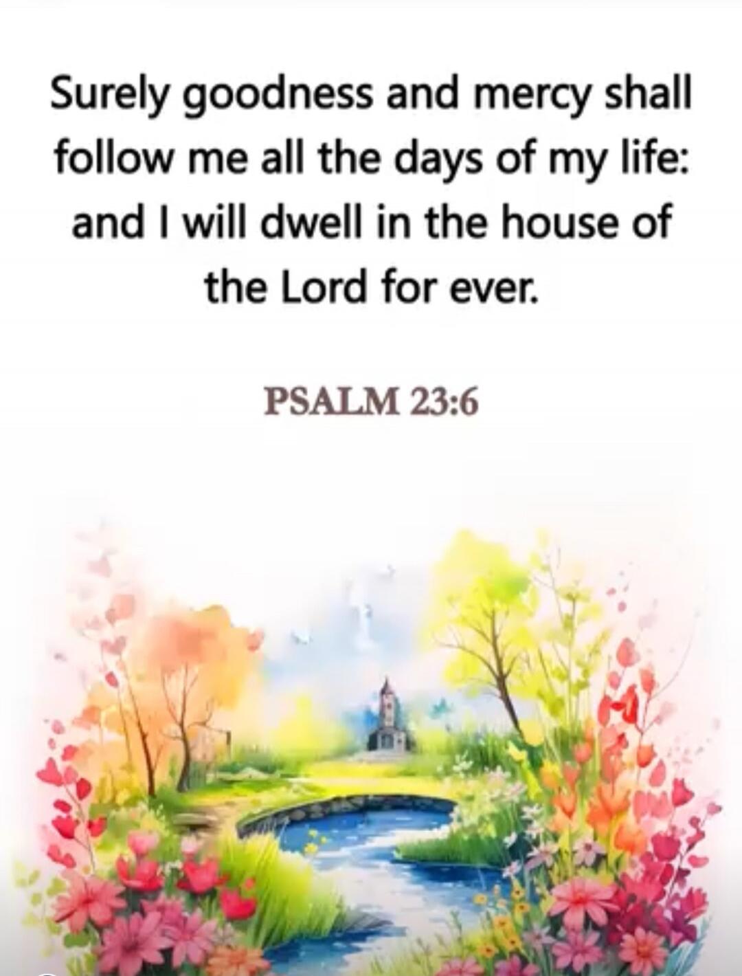 Surely goodness and mercy shall follow me all the days of my life: and I will dwell in the house of the Lord for ever.
PSALM 23:6