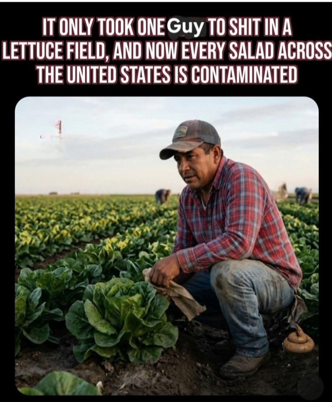 IT ONLY TOOK ONE Guy TO SHIT IN A LETTUCE FIELD, AND NOW EVERY SALAD ACROSS THE UNITED STATES IS CONTAMINATED