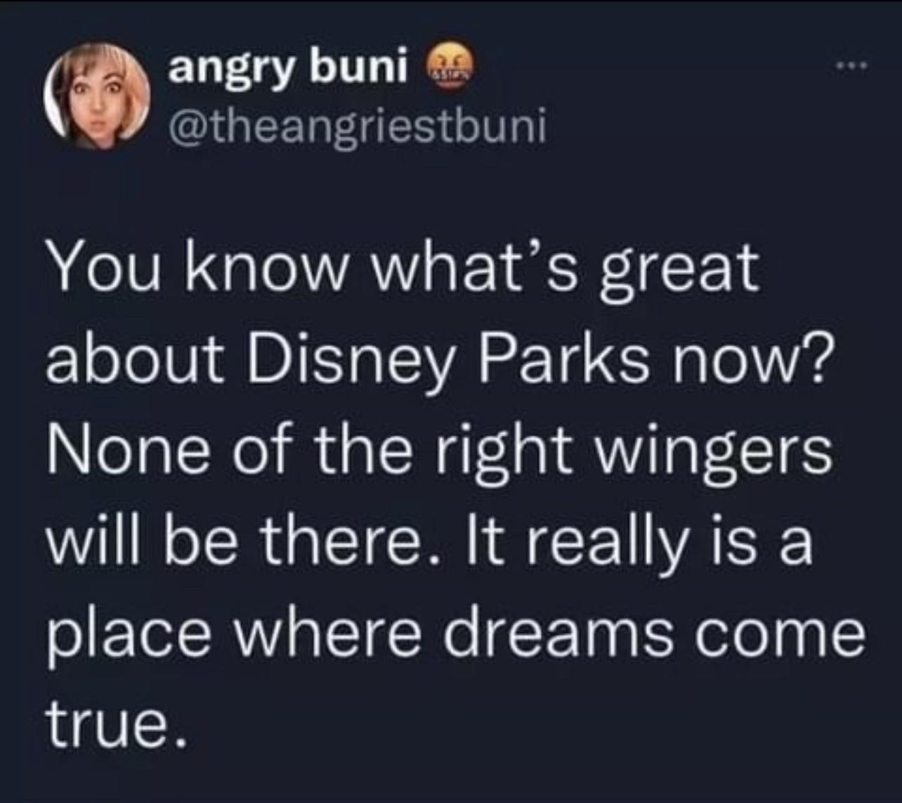 P angry buni IGEEREGES G A IVR Rl AN o F Y W F 1 about Disney Parks now None of the right wingers will be there It really is a place where dreams come true