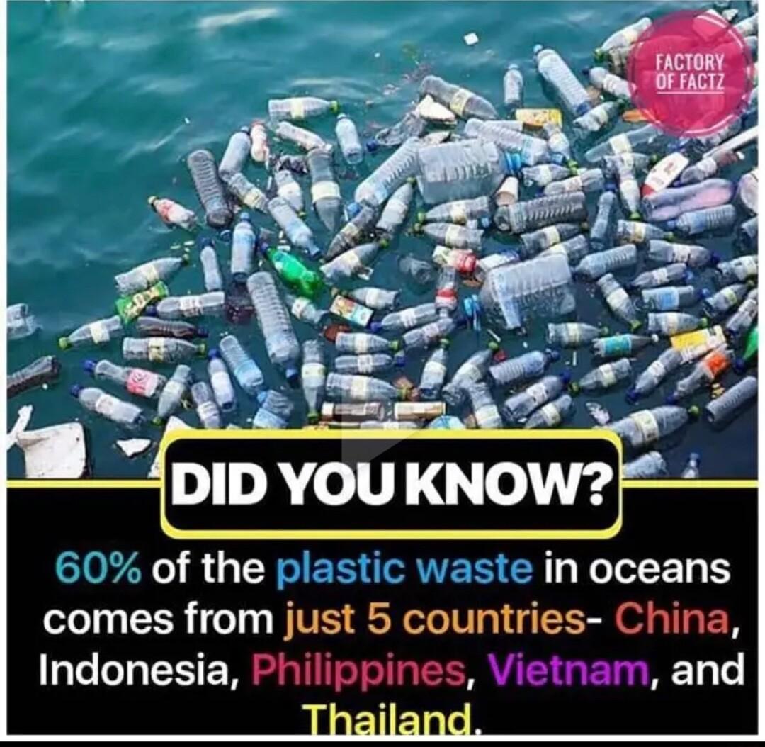 in oceans comes from just 5 countries China Indonesia Philippines Vietnam and