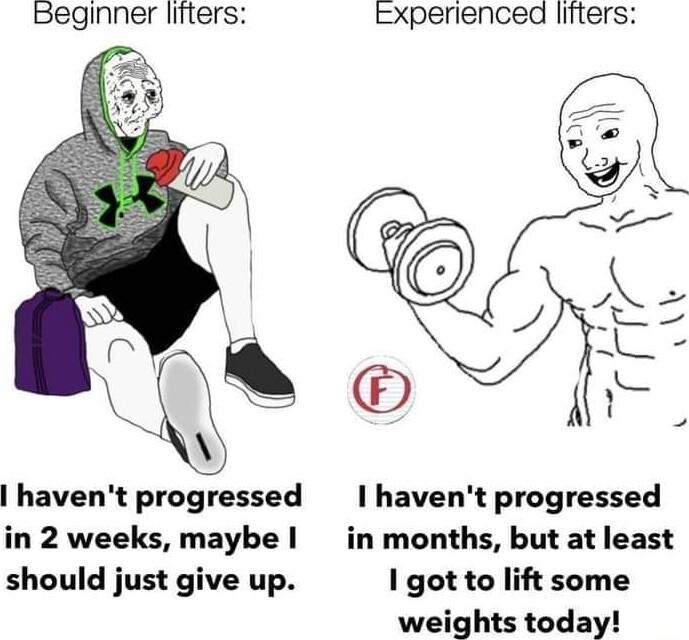 Beginner liiters Experienced lifters havent progressed havent progressed in 2 weeks maybe in months but at least should just give up 1 got to lift some weights today