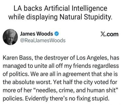 LA backs Artificial Intelligence while displaying Natural Stupidity. James Woods @RealJamesWoods X.com Karen Bass, the destroyer of Los Angeles, has managed to unite all off my friends regardless of politics. We are all in agreement that she is the absolute worst. Yet half the city voted for more of her “needles, crime, and human shit” policies. Ev