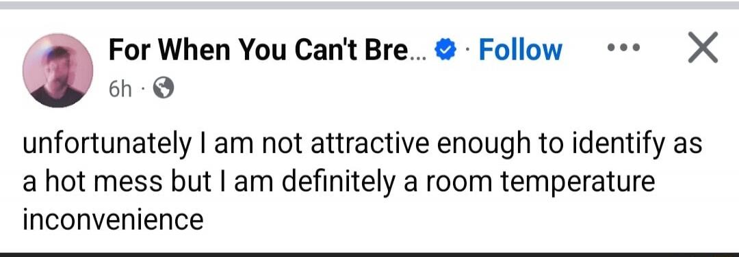 unfortunately I am not attractive enough to identify as a hot mess but I am definitely a room temperature inconvenience