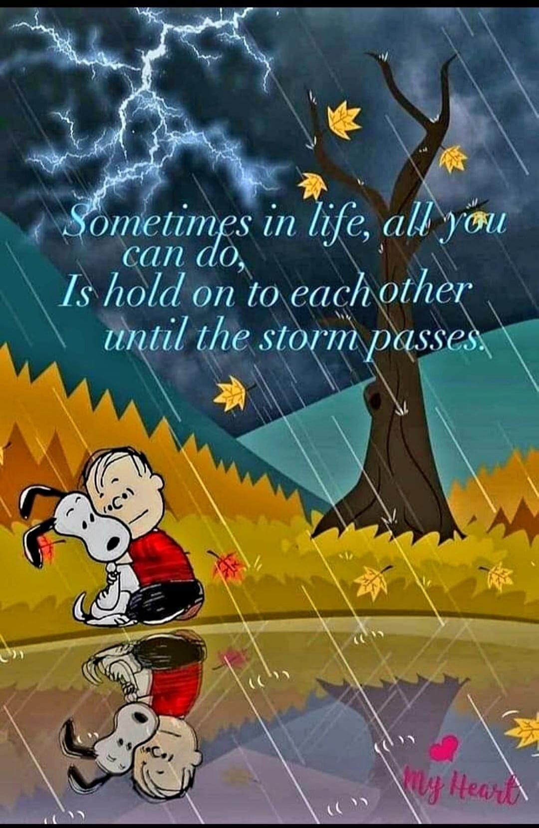 Sometimes in life, all you can do, Is hold on to each other until the storm passes. My Heart