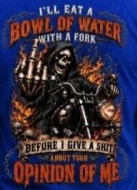 I'LL EAT A BOWL OF WATER WITH A FORK BEFORE I GIVE A SHIT ABOUT YOUR OPINION OF ME