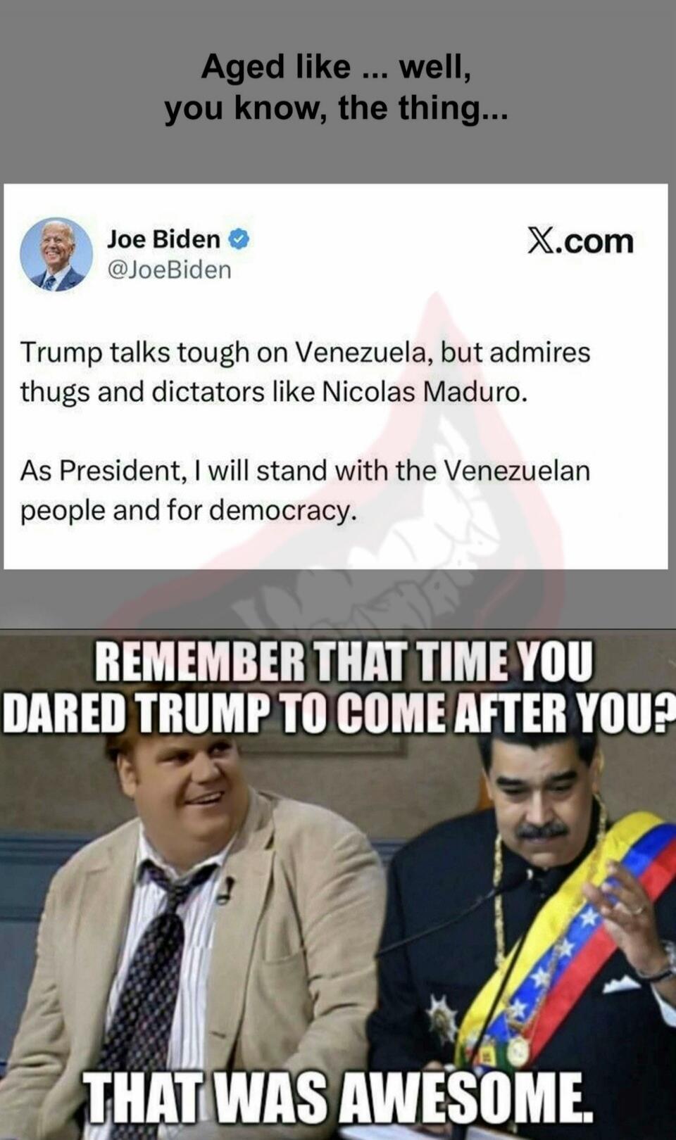 Aged like ... well, you know, the thing...

Trump talks tough on Venezuela, but admires thugs and dictators like Nicolas Maduro.

As President, I will stand with the Venezuelan people and for democracy.

REMEMBER THAT TIME YOU DARED TRUMP TO COME AFTER YOU? THAT WAS AWESOME