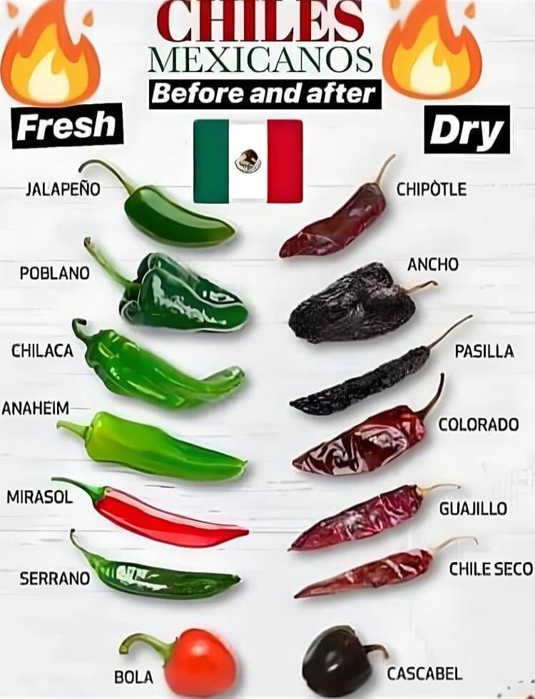 CHILES MEXICANOS 244 IALAPERO CHIPOTLE Al POBLANO NCHO CHILACA mw ANAHEIM CoLoRADO SERRANO CHILESECO BLA CASCABEL