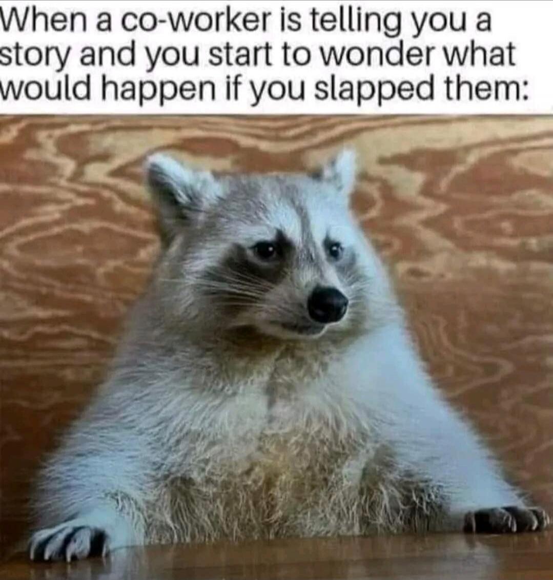 When a co-worker is telling you a story and you start to wonder what would happen if you slapped them: