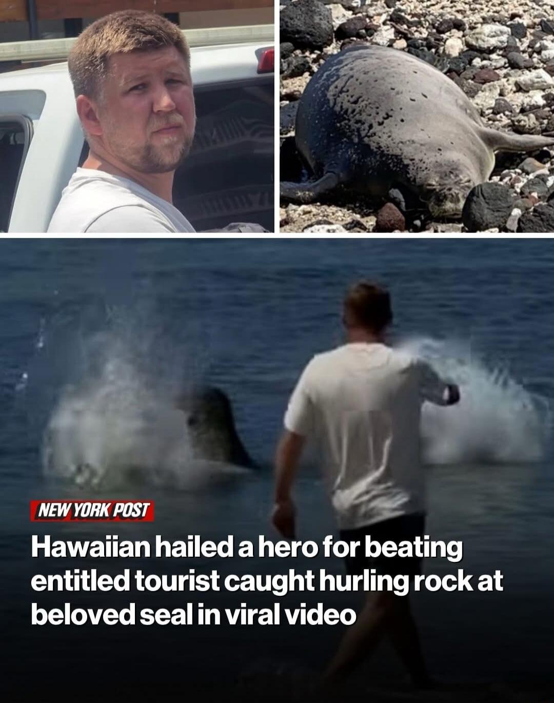 NEW YORK POST Hawaiian hailed a hero for beating entitled tourist caught hurling rock at beloved seal in viral video.