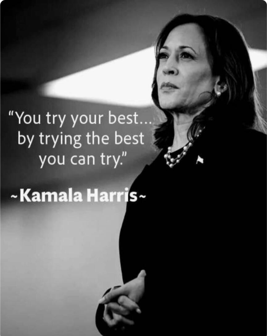 You try your best... by trying the best you can try.
~Kamala Harris~