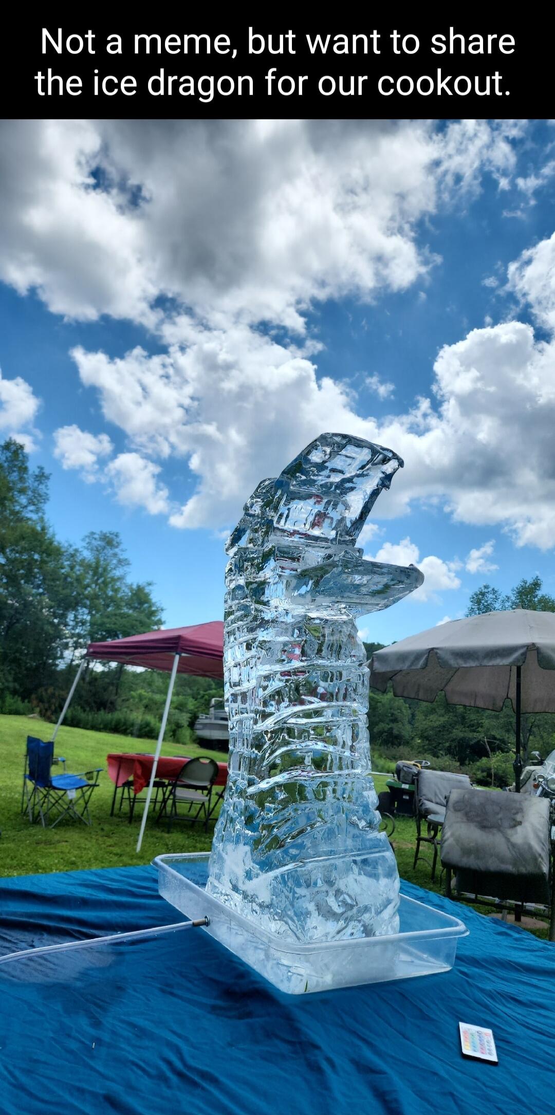 Not a meme but want to share the ice dragon for our cookout