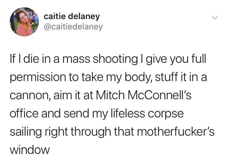 caitie delaney caitiedelaney If die in a mass shooting give you full permission to take my body stuff itin a cannon aim it at Mitch McConnells office and send my lifeless corpse sailing right through that motherfuckers window