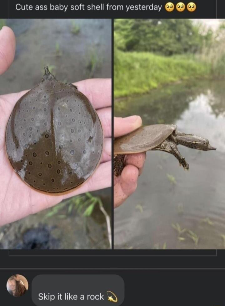 Cute ass baby soft shell from yesterday Skip it like a rock Wy